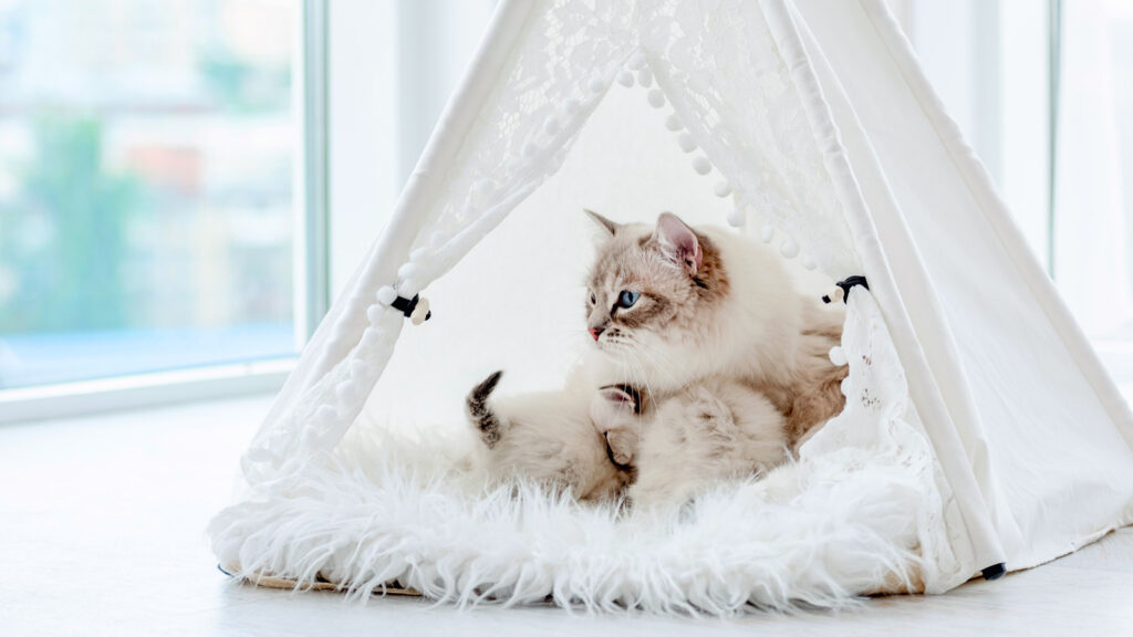 Test3